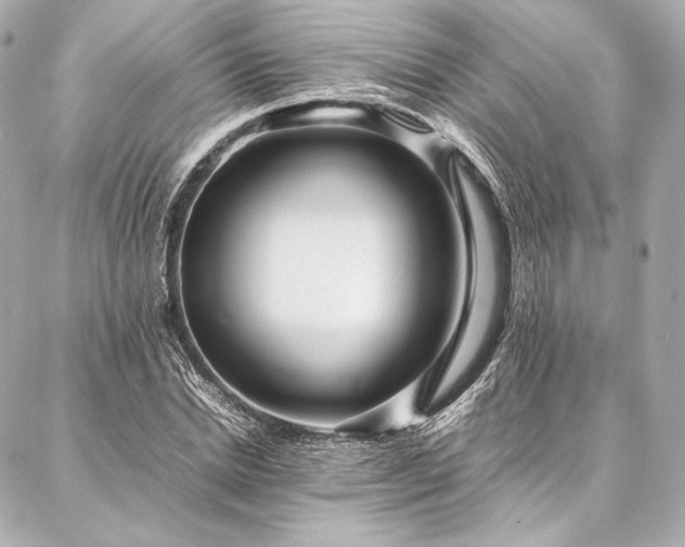 X0000086970830200704231513