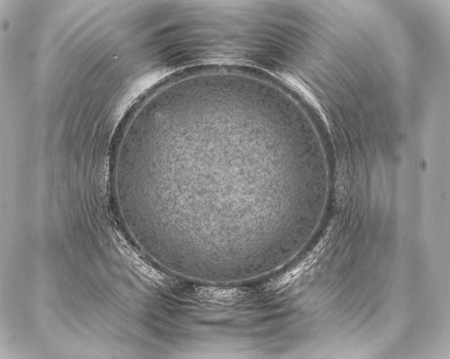 X0000086970831200704231513