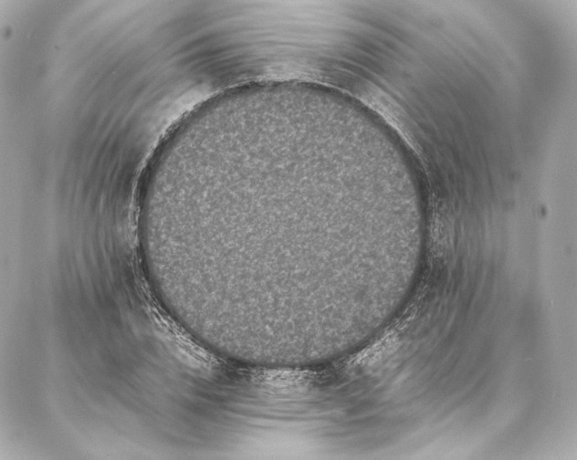 X0000086970832200704231513