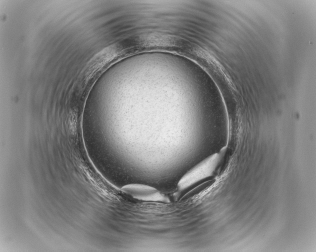 X0000086970833200704231513