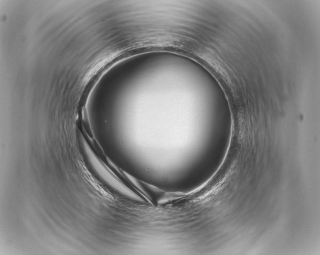 X0000086970834200704231513