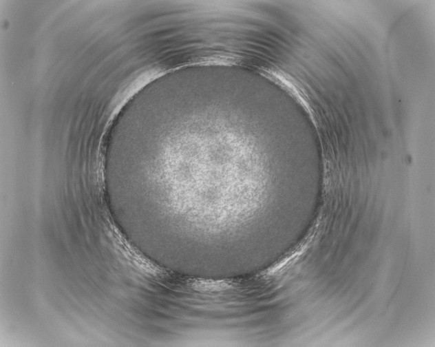 X0000086970835200704231513