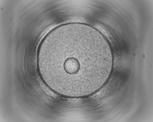 X0000086970836200704231513