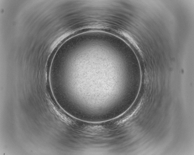 X0000086970837200704231513