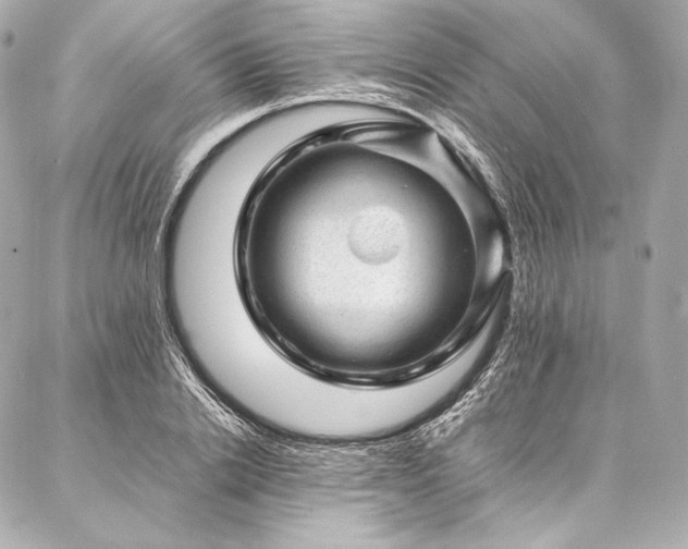 X0000086970838200704231513