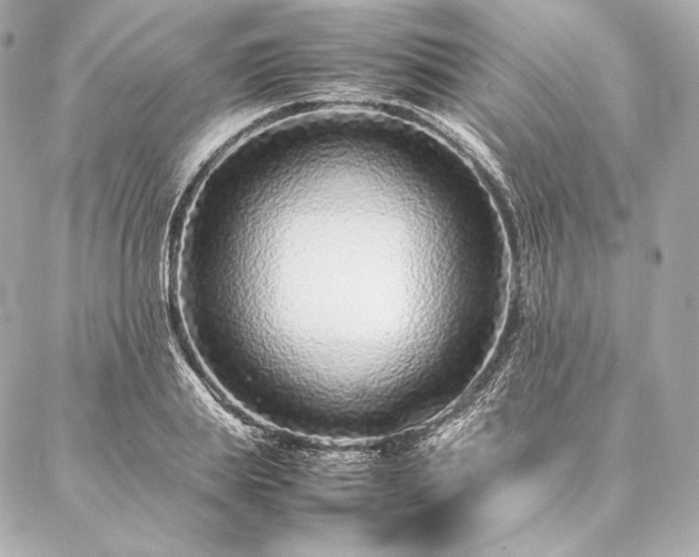 X0000086970839200704231513