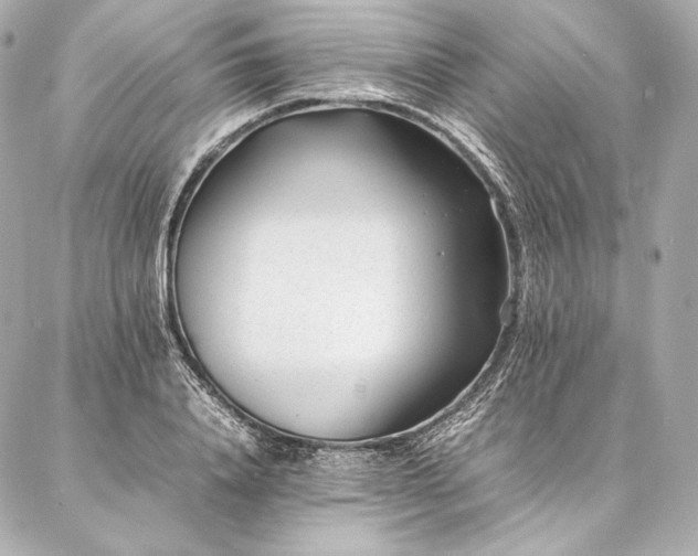 X0000086970840200704231513