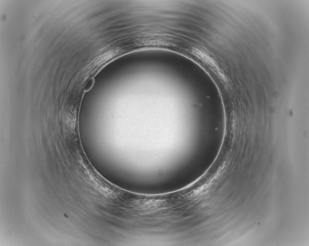 X0000086970841200704231513