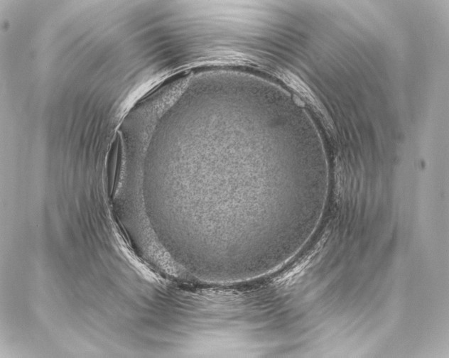 X0000086970842200704231513