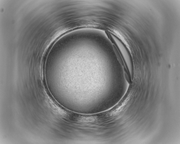 X0000086970843200704231513