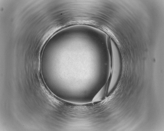 X0000086970844200704231513