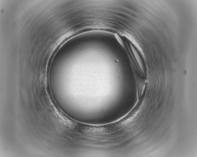 X0000086970845200704231513