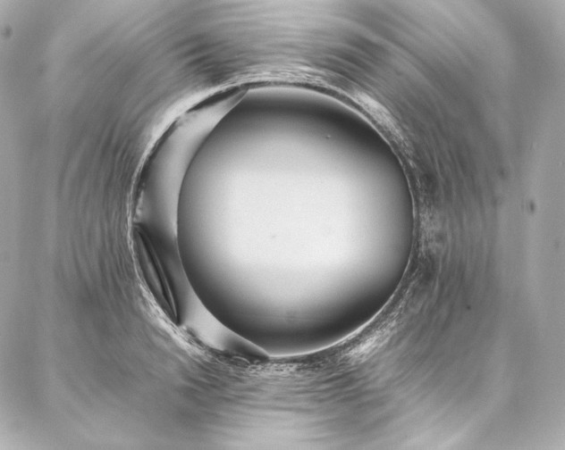 X0000086970846200704231513