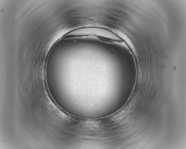 X0000086970847200704231513