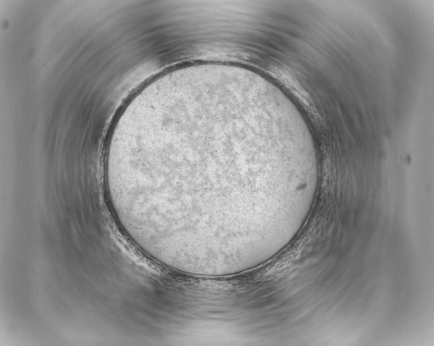 X0000086970848200704231513