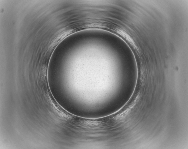 X0000086970849200704231513