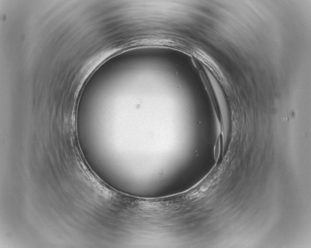 X0000086970852200704231514