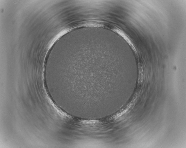 X0000086970853200704231514