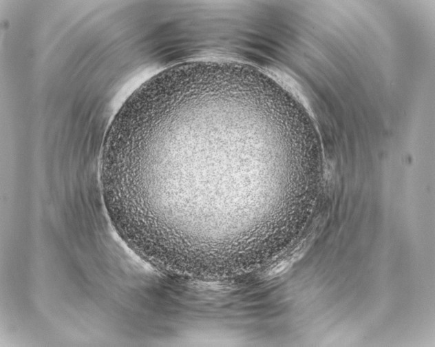 X0000086970855200704231514