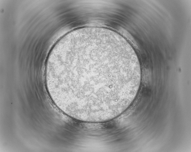 X0000086970856200704231514