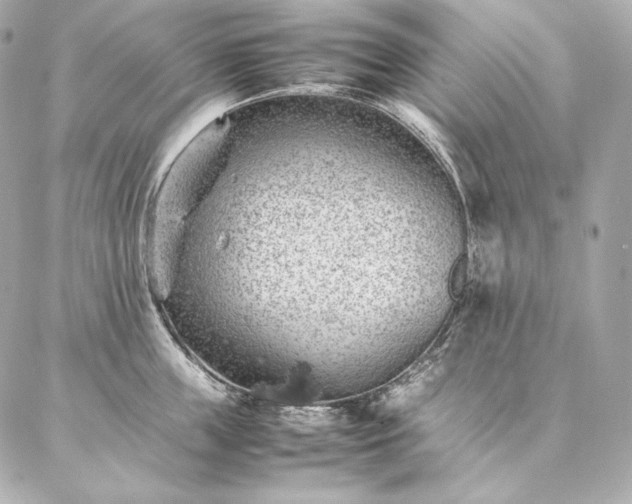 X0000086970859200704231514