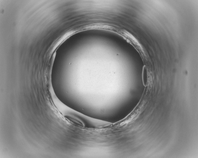 X0000086970860200704231514