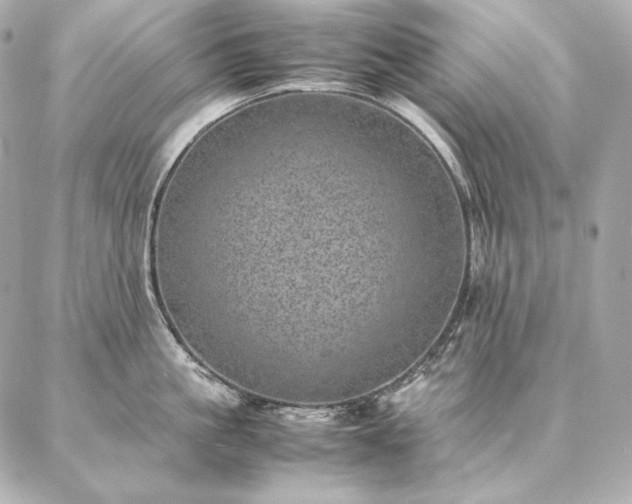 X0000086970861200704231514