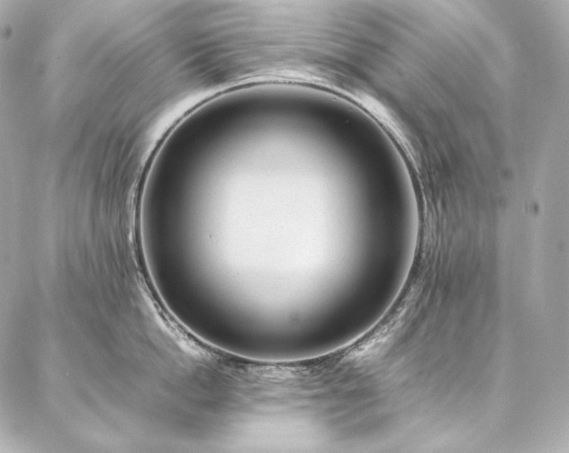 X0000086970862200704231514