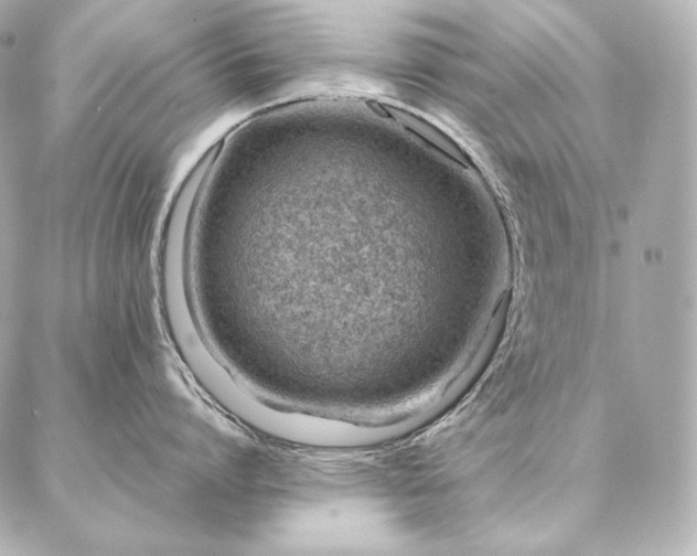 X0000086970864200704231514