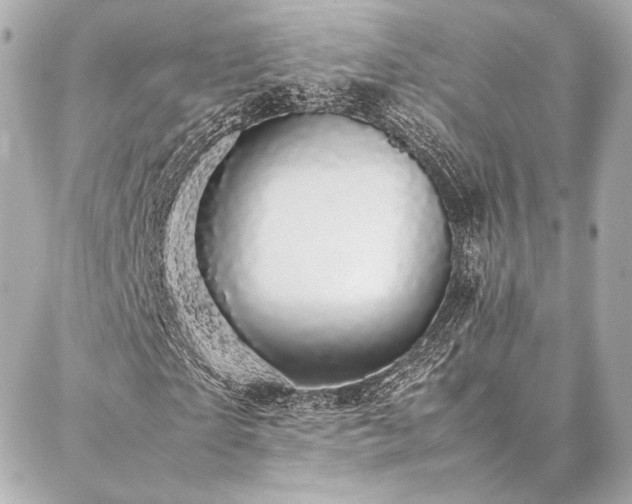 X0000086970865200704231513