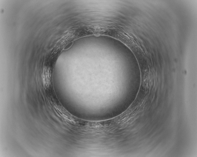 X0000086970866200704231513