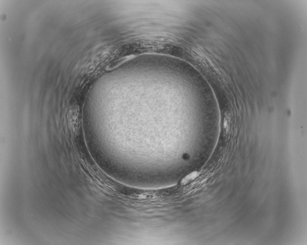 X0000086970867200704231513