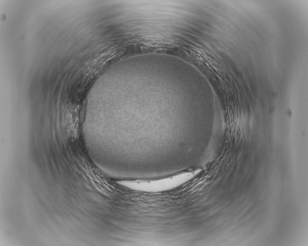 X0000086970868200704231513