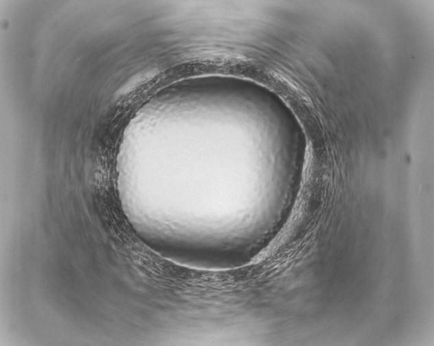 X0000086970869200704231513