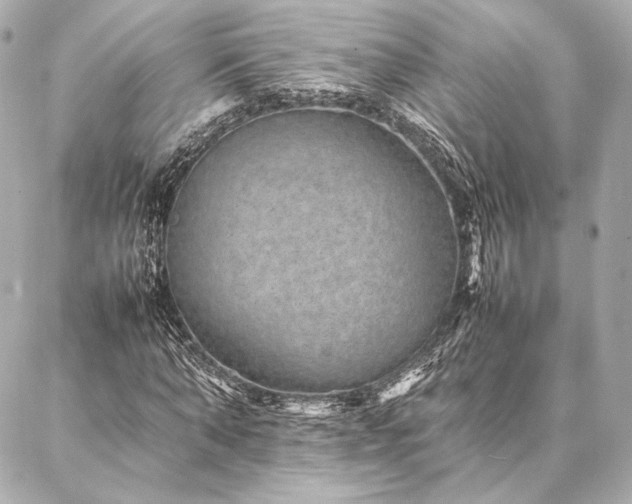 X0000086970870200704231513