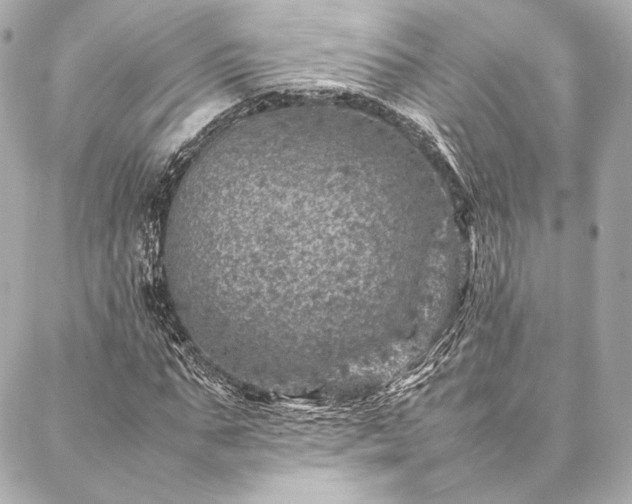 X0000086970871200704231513