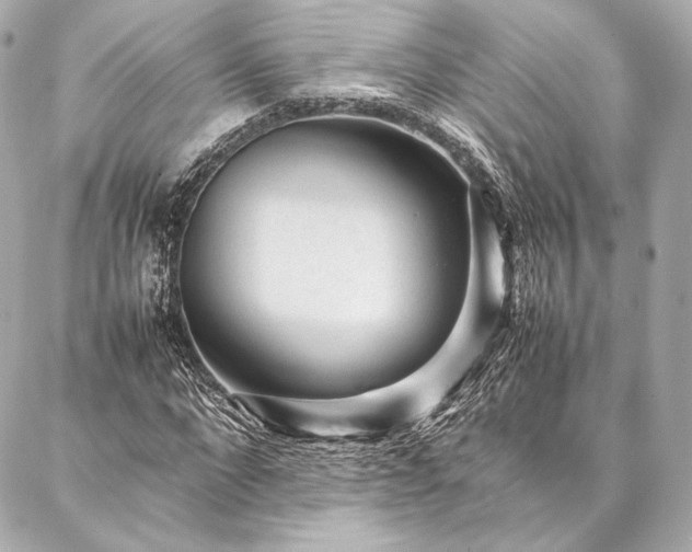 X0000086970872200704231513