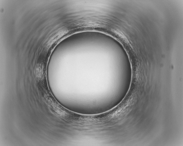 X0000086970873200704231513