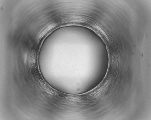 X0000086970874200704231513