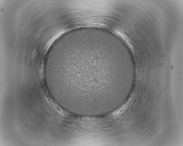 X0000086970875200704231513