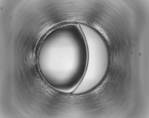 X0000086970876200704231513