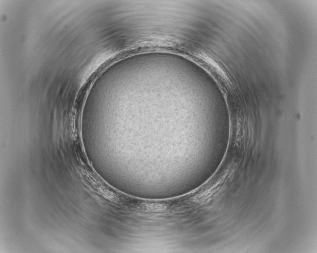 X0000086970878200704231513