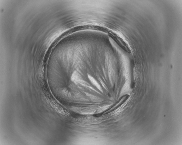X0000086970879200704231513