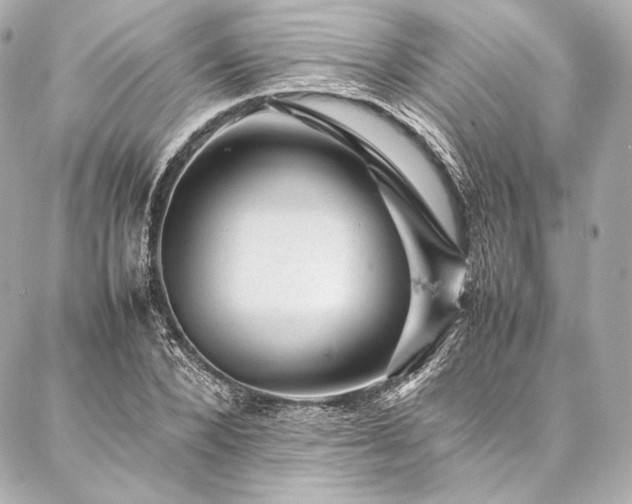 X0000086970880200704231513