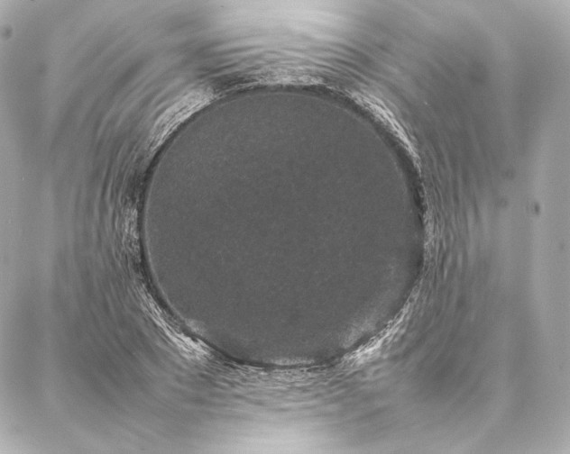 X0000086970881200704231513