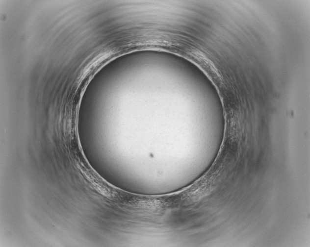 X0000086970882200704231513