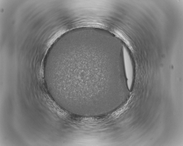 X0000086970883200704231513