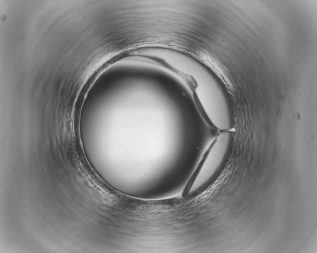 X0000086970884200704231513