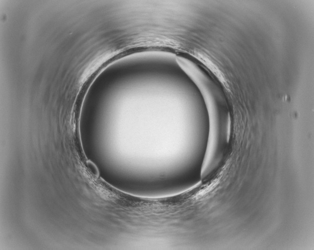 X0000086970885200704231513