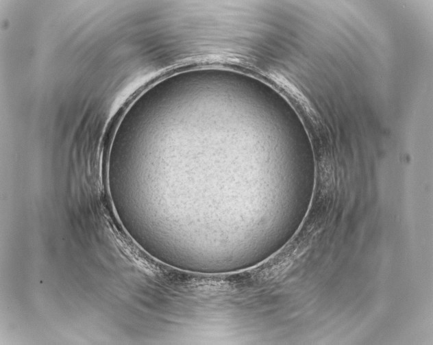 X0000086970886200704231513